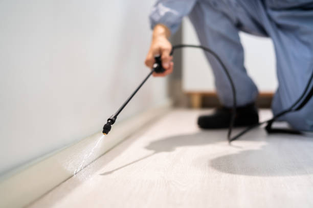 Certified termite inspector examining foundation in Lauderdale Lakes